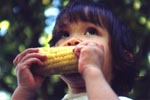 corn on the cob days - girl eating corn